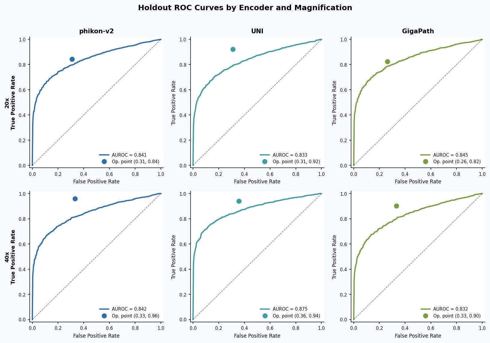 BRAF holdout ROC curves across 6 encoder-magnification configurations