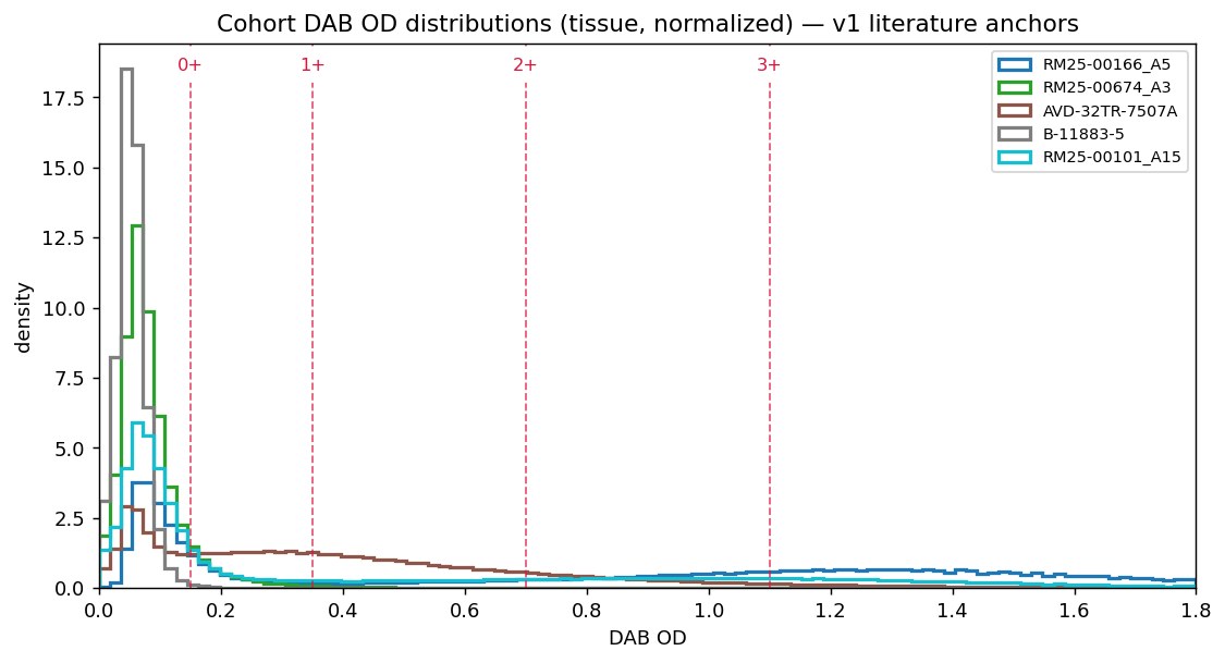 Overlay of DAB OD distributions across all five cases